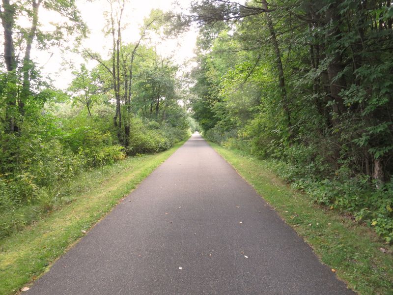 Freshly Paved Asphalt Pathway