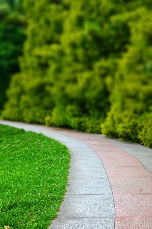 Trail Paving